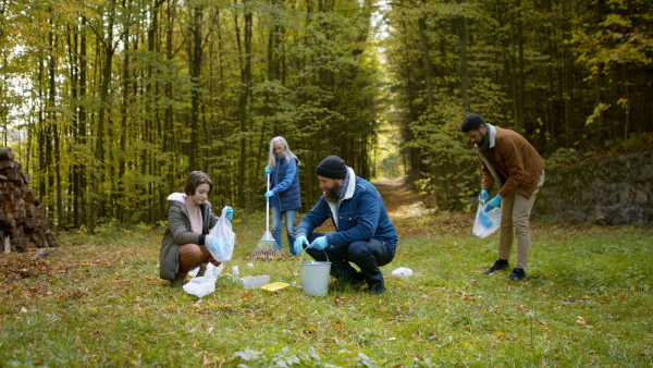 A group of volunteers cleaning up forest from waste, community service concept