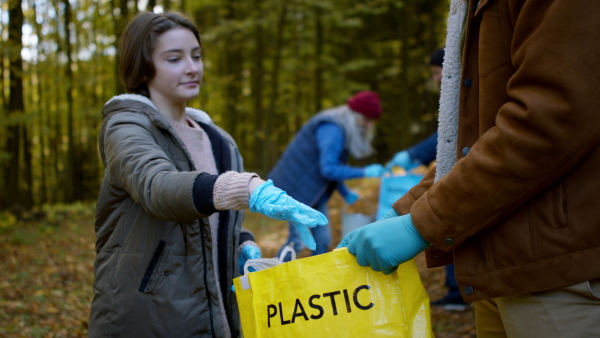 A diverse group of volunteers cleaning up forest from waste, community service concept