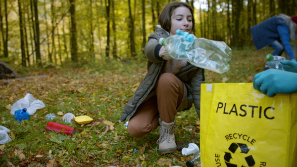 A diverse group of volunteers cleaning up forest from waste, community service concept