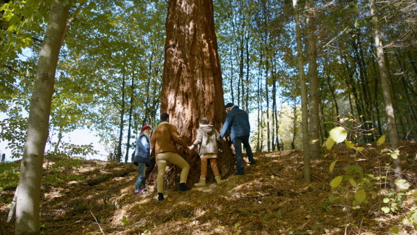 A diverse group of environmental activists hugging large sequoia tree in forest