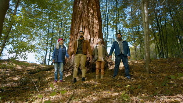 A diverse group of environmental activists hugging large sequoia tree in forest