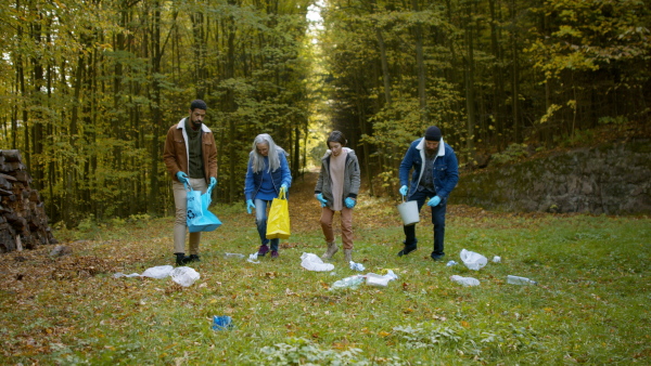 A diverse group of volunteers cleaning up forest from waste, community service concept