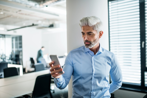 Portrait of mature businessman with smartphone standing in an office, taking selfie.