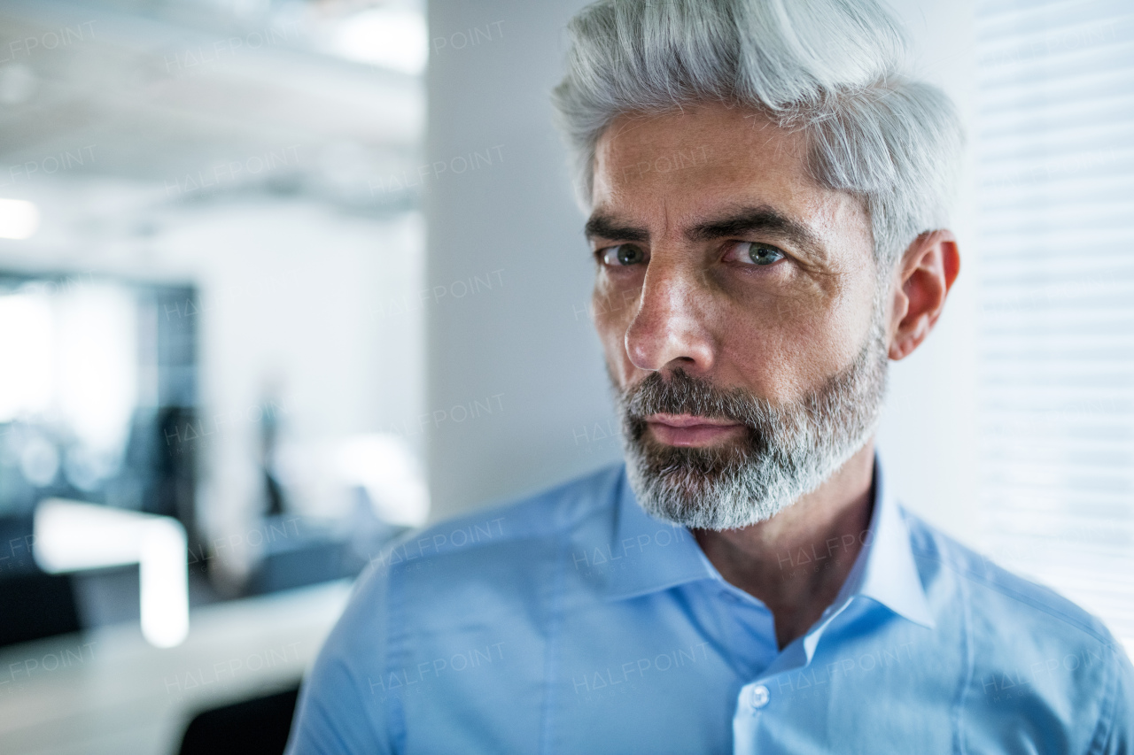 A portrait of mature businessman standing in an office, looking at camera.