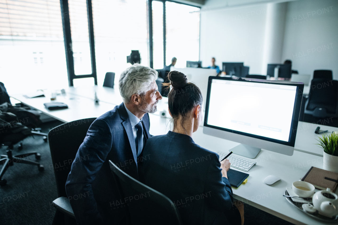 Two businesspeople with computer sitting in an office at desk, working. Copy space.