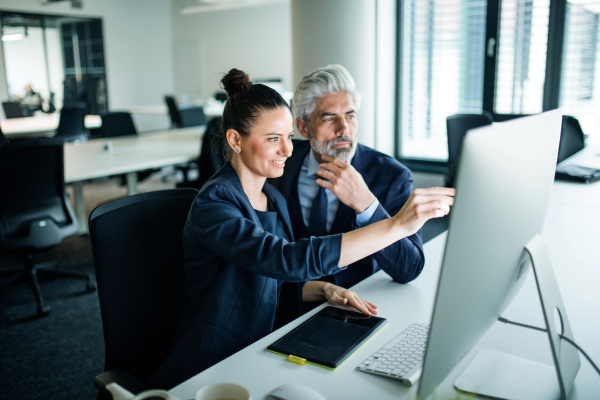 Two businesspeople with computer sitting in an office at desk, working.