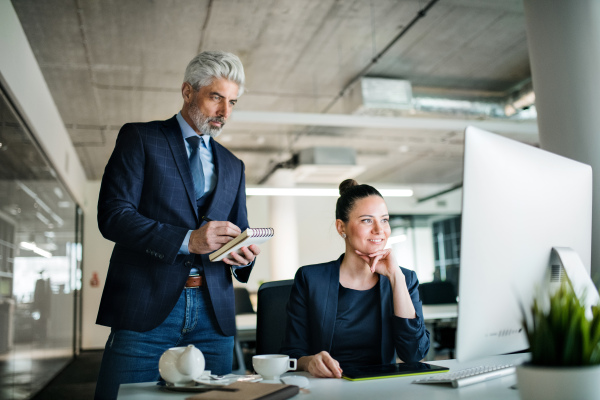 Two businesspeople with computer sitting in an office at desk, working.