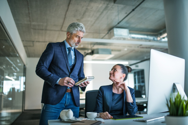 Two businesspeople with computer sitting in an office at desk, working.