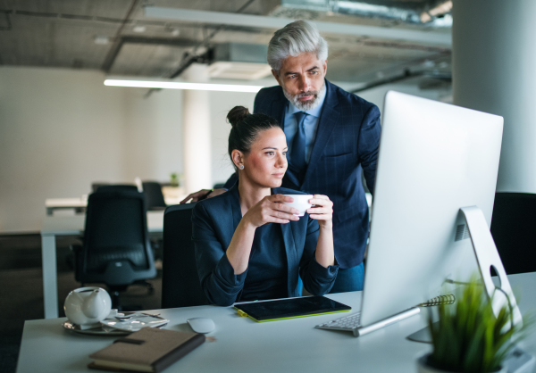 Two businesspeople with a computer standing in an office at desk, working.