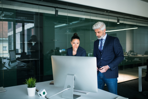 Two businesspeople with computer in an office standing at desk, working.