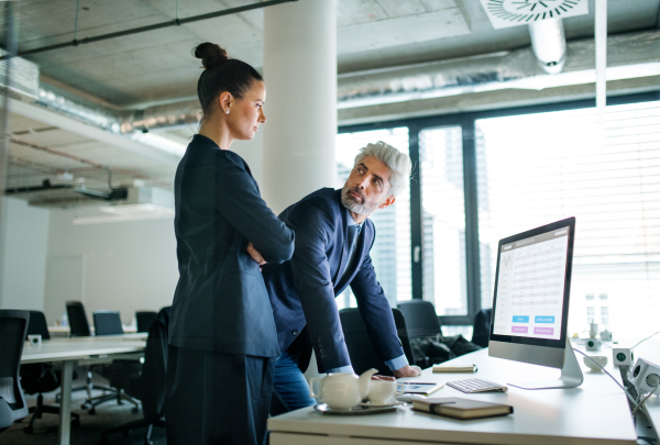 Two businesspeople with a computer standing in an office at desk, working.