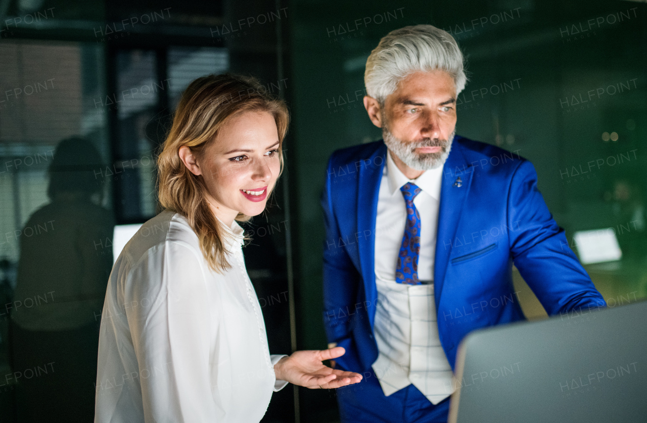 Two businesspeople with computer standing in an office at desk, working.