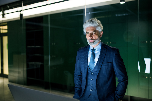 A portrait of mature businessman standing in an office, looking at camera. Copy space.