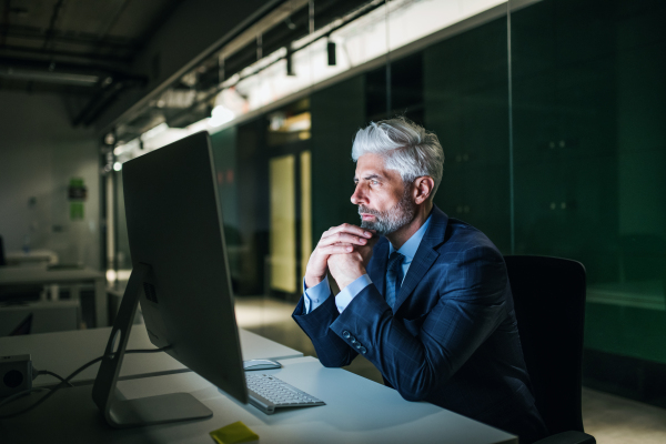 A portrait of mature businessman with computer in an office, working.