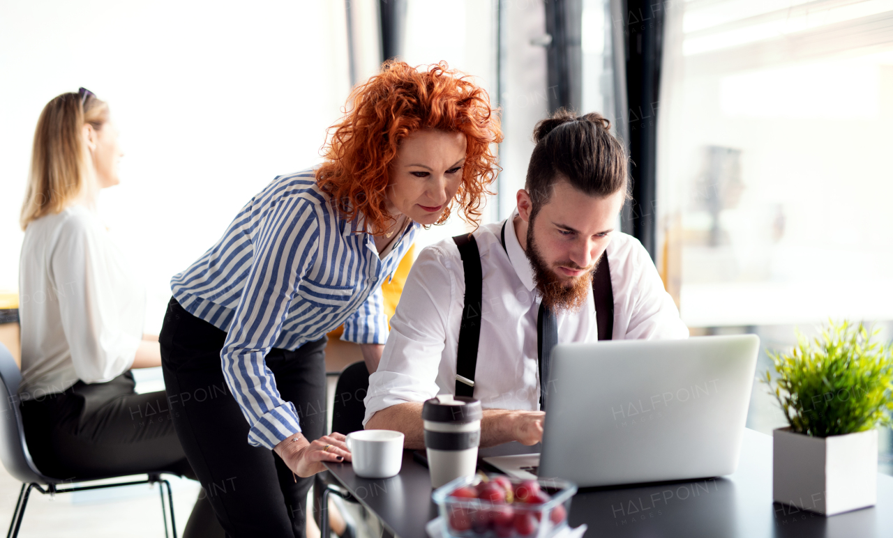 A group of cheerful business people sitting in an office, using laptop.