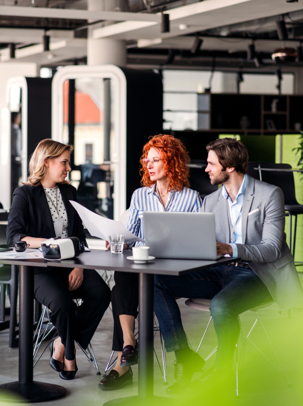 A group of young cheerful business people with laptop sitting in an office, talking.