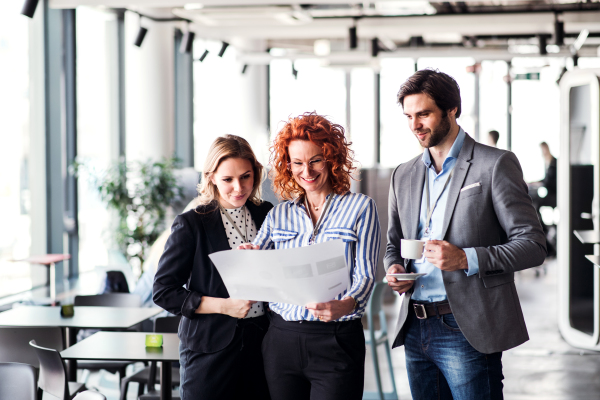 A group of young business people talking in an office, looking at documents.