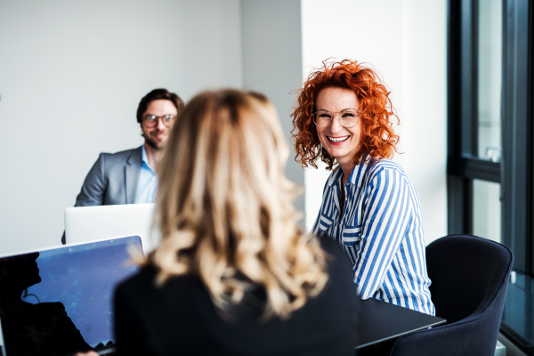 A group of young cheerful business people with laptop sitting in an office, talking.