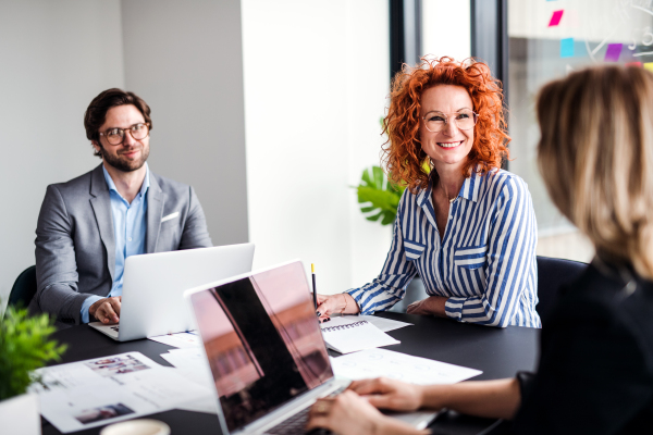 A group of young cheerful business people with laptop sitting in an office, talking.