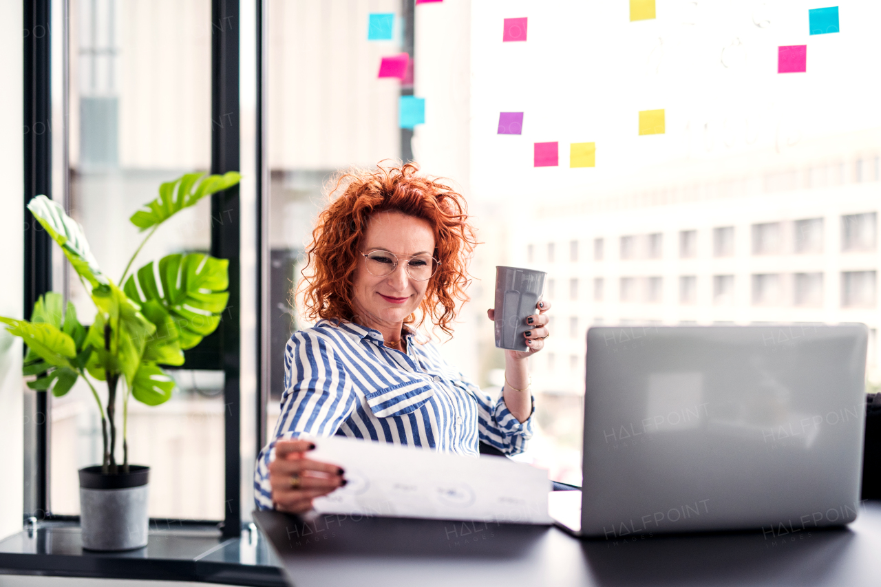 A portrait of cheerful businesswoman with computer in an office, working.