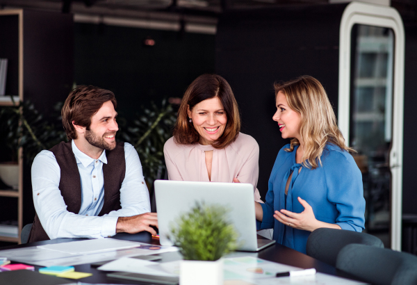 A group of cheerful business people sitting in an office, using laptop.