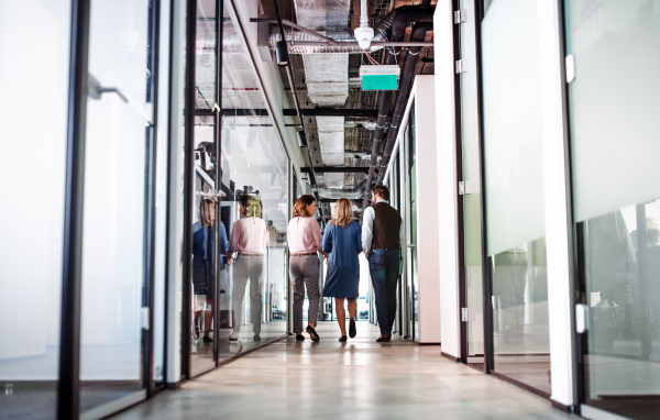 A rear view of group of business people walking in an office building, talking.