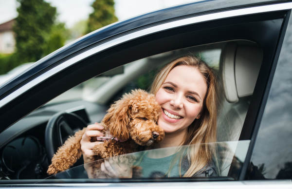 A young woman driver with a dog sitting in car, looking out of window.