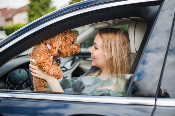 A young woman driver with a dog sitting in car, talking.