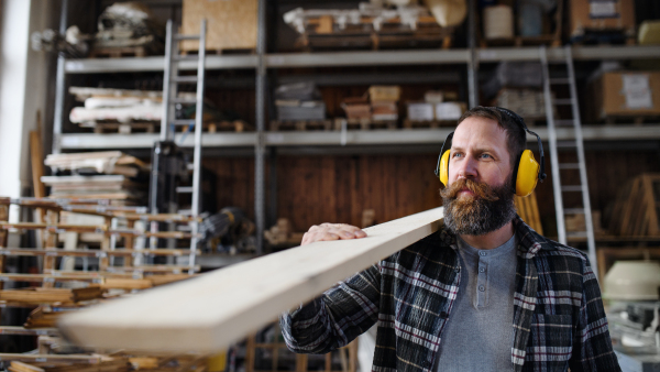 A mature male carpenter with hearing protectors carrying wooden board, indoors in carpentery workshop. Small business concept.