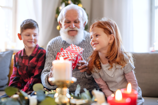 Portrait of small children with senior grandfather indoors at home at Christmas, holding presents.