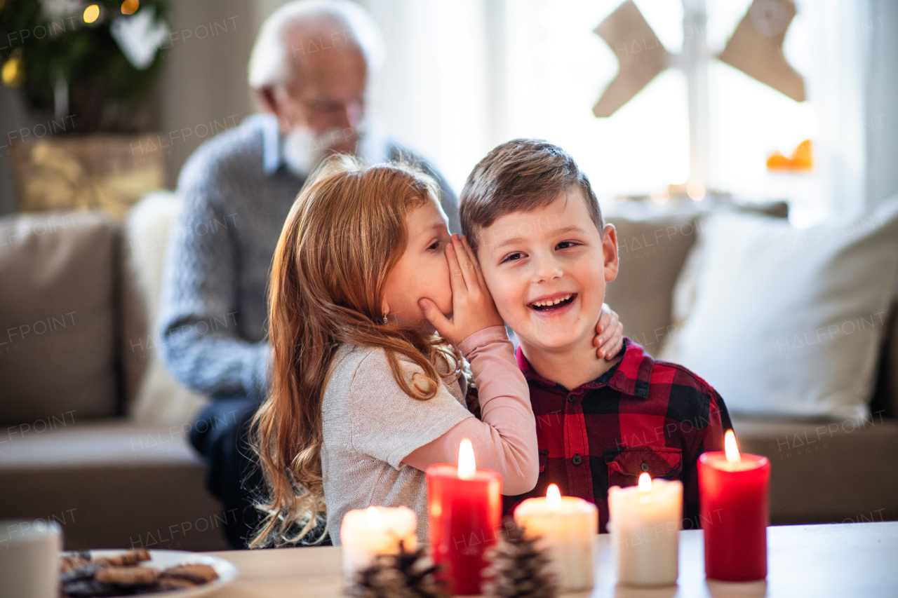 Front view of small girl and boy indoors at home at Christmas, whispering secret in ear.