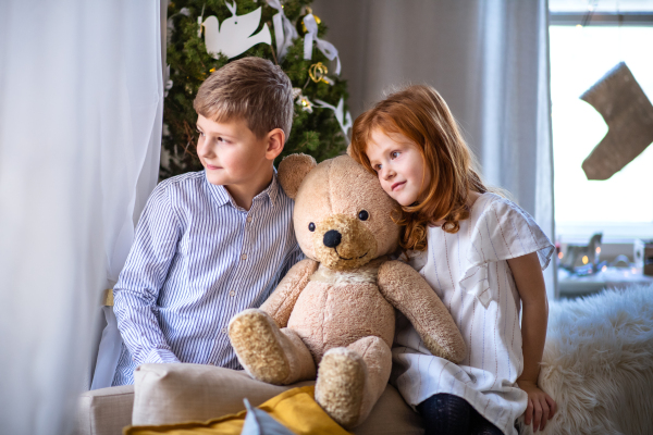 Small girl and boy by window indoors at Christmas, holding big teddy bear.