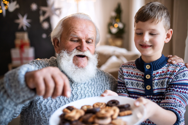 Portait of small boy with senior grandfather indoors at home at Christmas, eating biscuits.