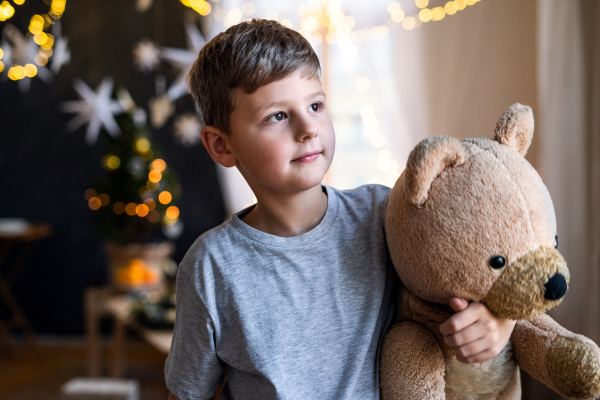 Portrait of small boy indoors at home at Christmas, holding teddy bear.