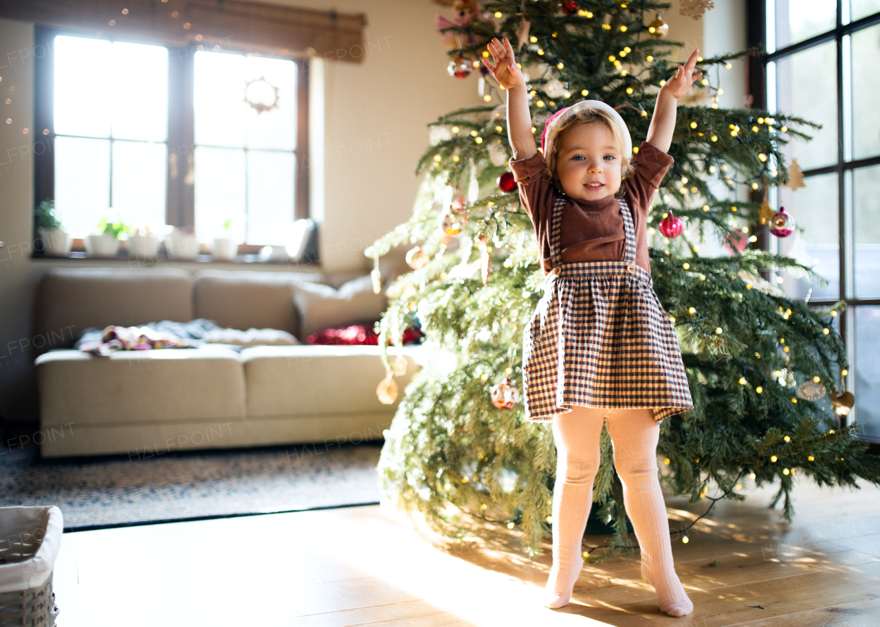 Portrait of happy small girl indoors at home at Christmas, playing.