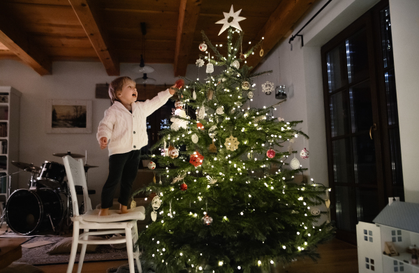 Portrait of happy small boy indoors at home at Christmas, decorating tree.