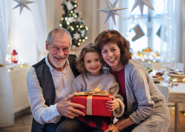 Front view of happy senior couple with small granddaughter indoors at Christmas, holding present.