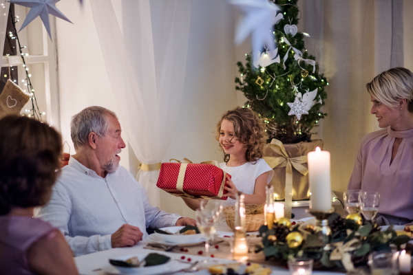 Happy senior man in wheelchair with family indoors celebrating Christmas together.