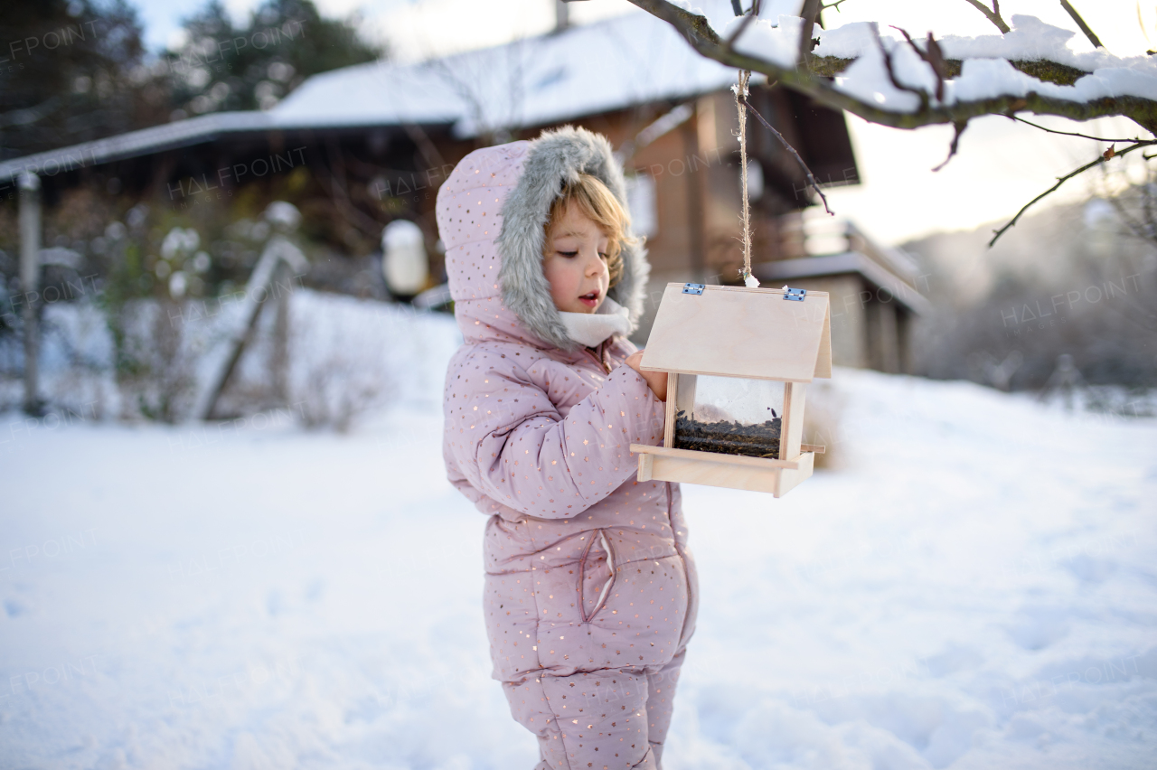 Portrait of small girl outdoors in winter garden, standing by wooden bird feeder.