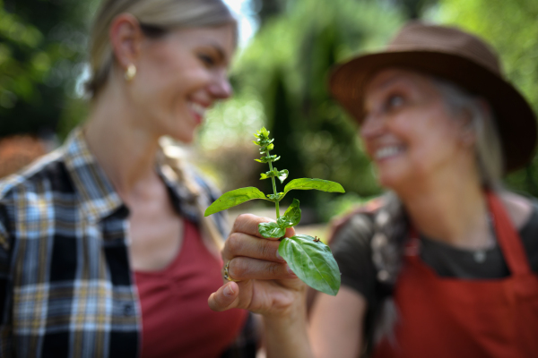 Two female farmers holding a plant herb outdoors at a community farm.