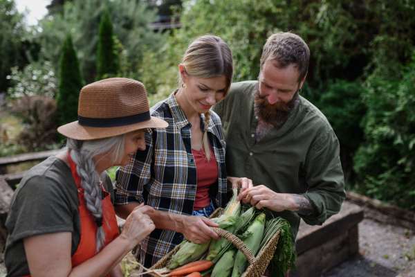 Happy farmers carrying a basket with harvest and looking at homegrown vegetables outdoors at community farm.