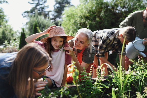 Happy young and old farmers or gardeners working outdoors at a community farm.