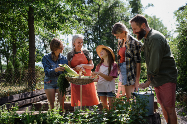 A happy family of farmers sitting by the table and looking at their harvest outdoors at community farm.