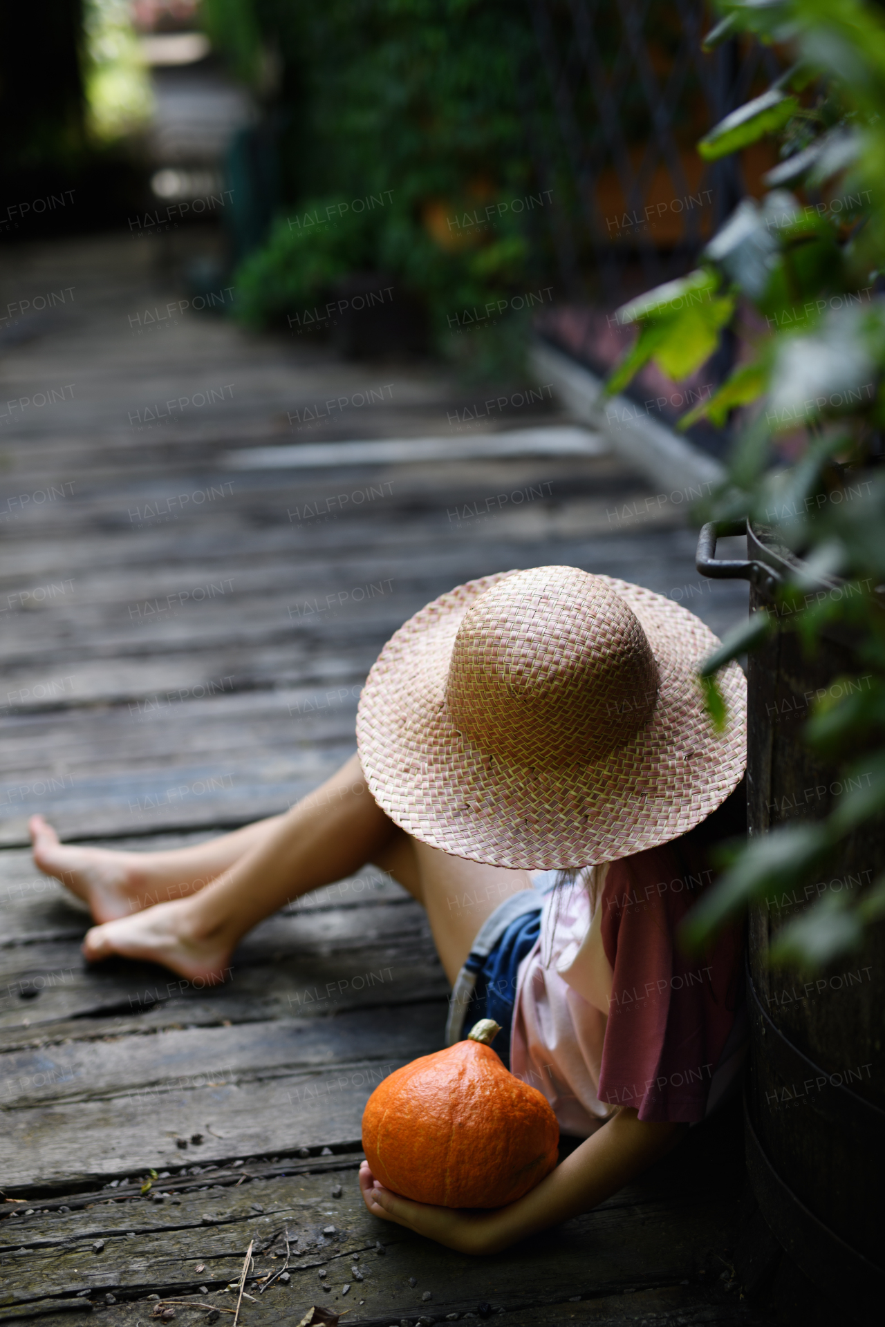 High angle view of unrecognizable little girl in hat sitting and holding pumpkin outdoors at farm.