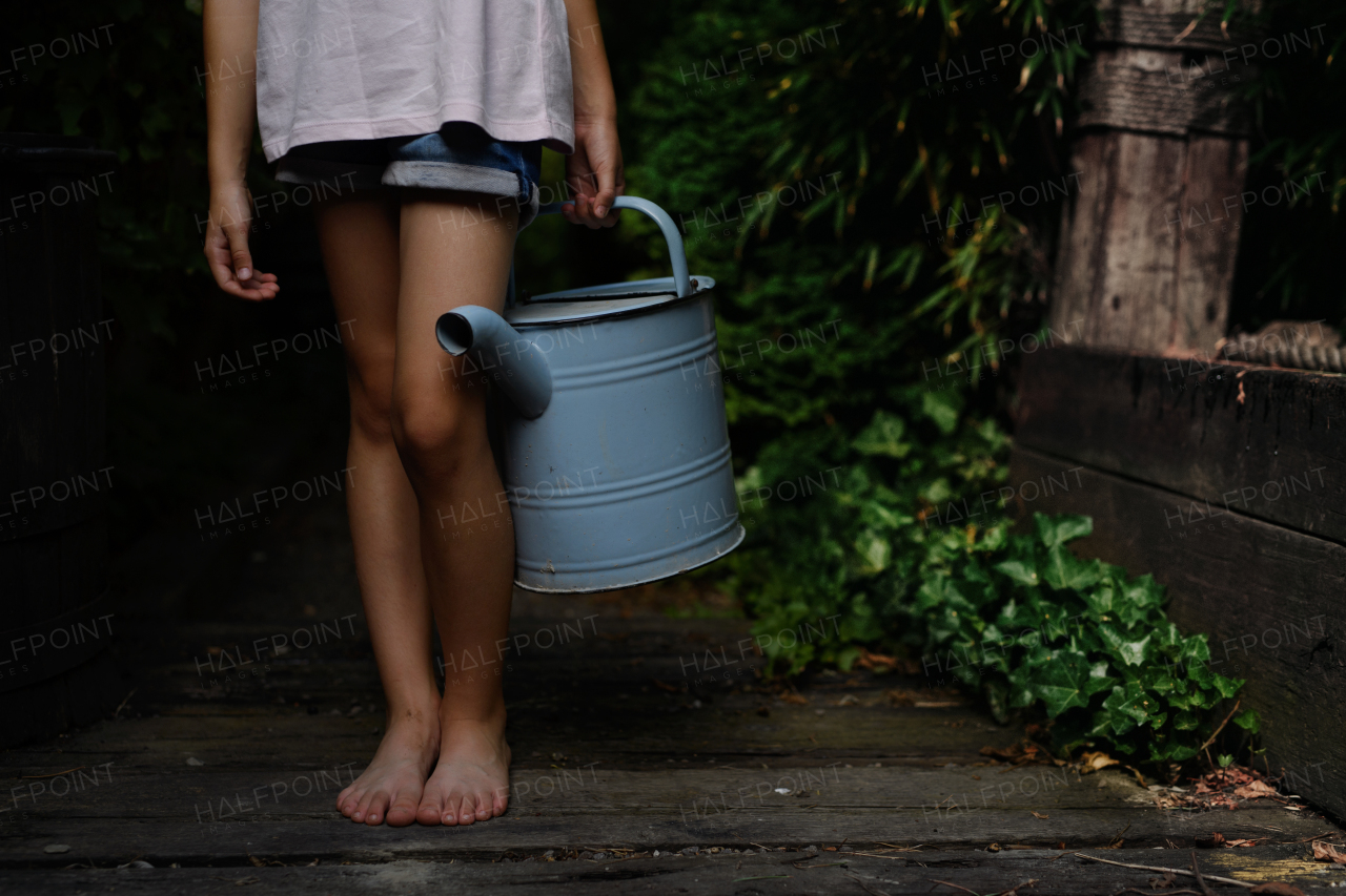 A low section of little girl in shorts holding watering can outdoors in garden.