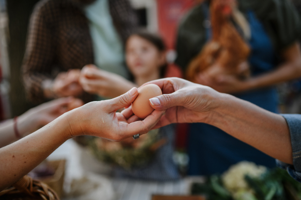 A close up of woman buying organic egg outdoors at local farmers market.