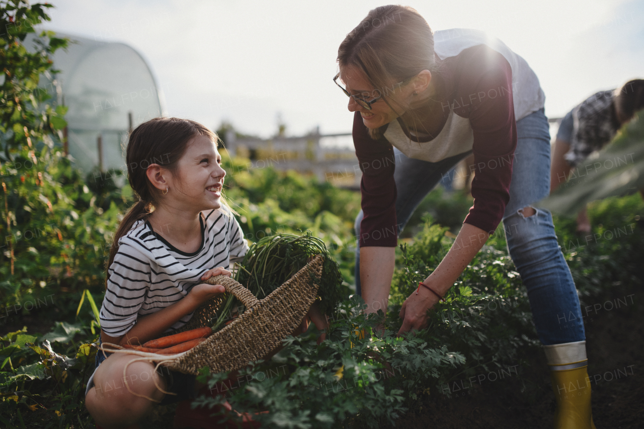 A happy little farmer girl with mother working outdoors at community farm.