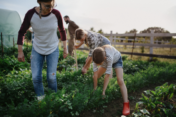 Happy young and old farmers or gardeners working outdoors at a community farm.