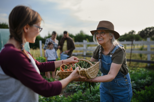 A happy senior farmer giving basket with homegrown vegetables to woman outdoors at community farm.