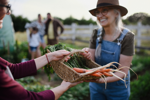 Happy senior female farmer giving a basket with homegrown vegetables to unrecognizable woman outdoors at community farm.